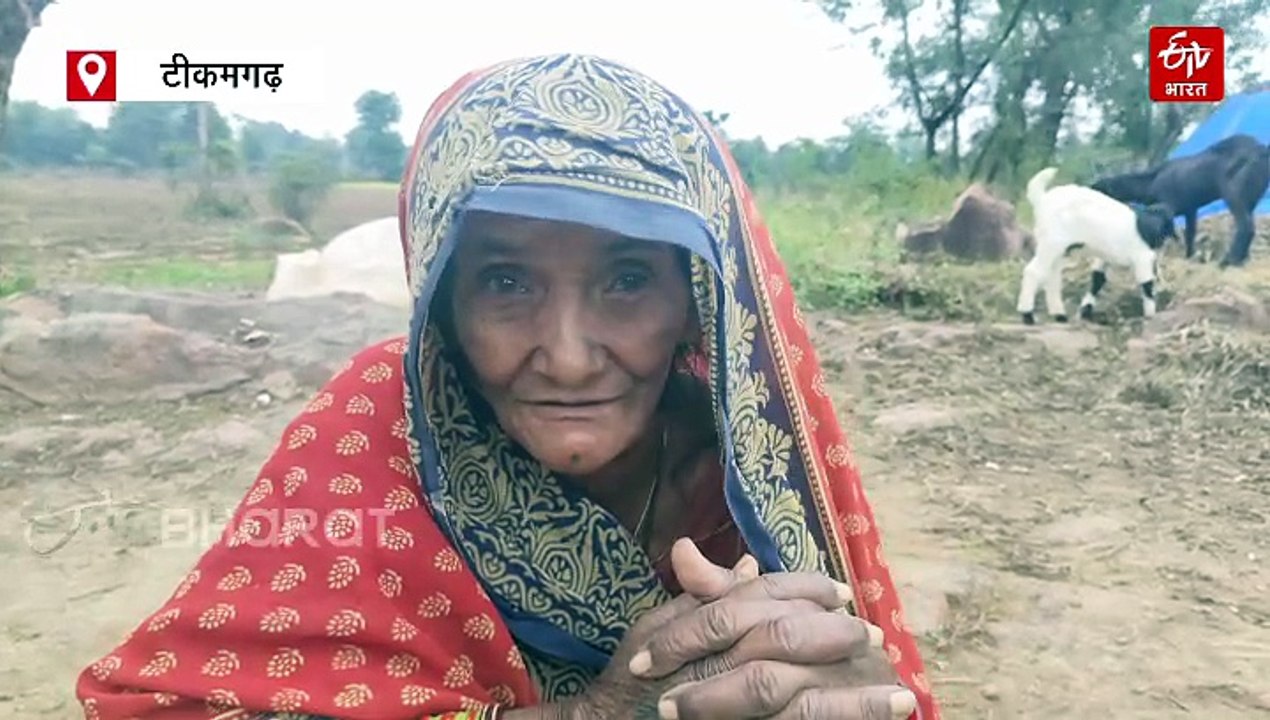 टीकमगढ़ के दीपचंद ने उम्र को दी मात, बंजर जमीन...