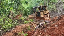 Strengthening Plantation Roads with the D6R XL Bulldozer
