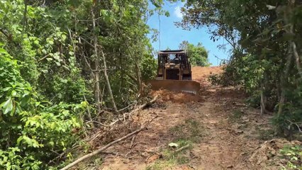 The Role of the D6R XL Bulldozer in Improving Plantation Roads