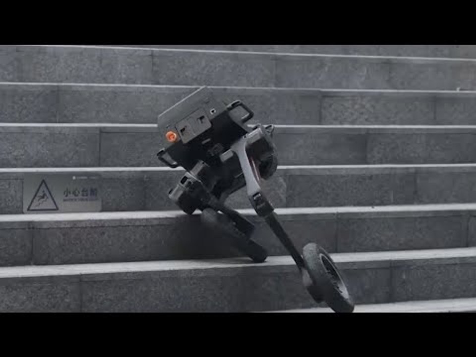 Unglaublich: Tron 1: Der Roboter, der läuft, rollt und sich dreht!