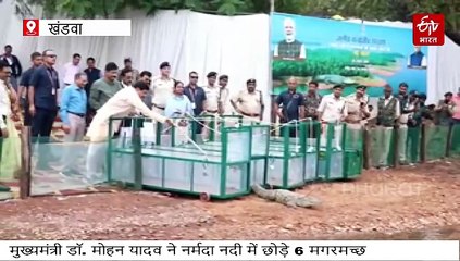 मुख्यमंत्री डॉ.मोहन यादव ने पूरा किया विशेष संकल्प, मां नर्मदा से किया था वादा