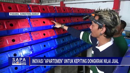 Showroom Tuan Crab di Padang, Pola Peningkatan Kualitas Kepiting Bakau Dalam Konsep 'Apartemen'