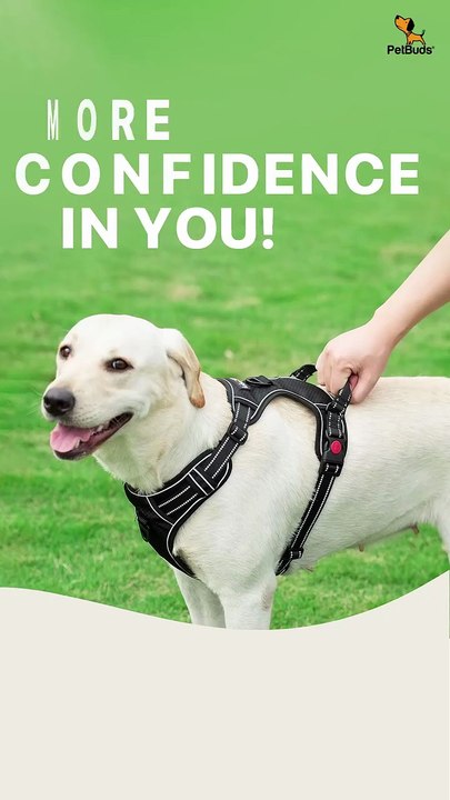 PetBuds’ no pull dog harness UK!