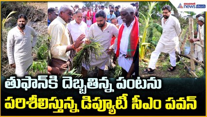 Deputy CM Pawan Kalyan: తుఫాన్ కి దెబ్బతిన్న పంటను పరిశీలిస్తున్న డిప్యూటీసీఎం పవన్ | Asianet Telugu
