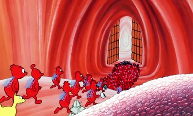 Esplorando il corpo umano 05 Il Sangue