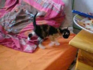 L'exploration : Découverte et aventure