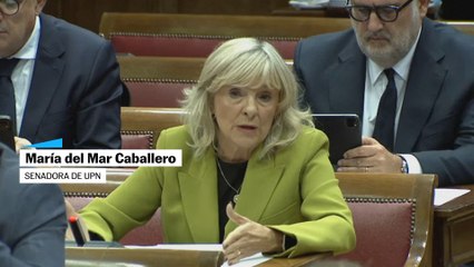 Sánchez sobre "la banda del Peugeot": "Me acompañaron miles de personas en las primarias"