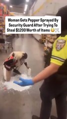 Woman Gets Pepper Sprayed By Security Guard After Trying To Steal $1200 Worth of Items.