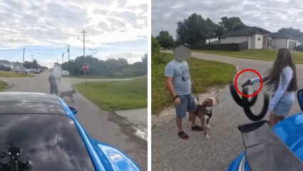 Florida woman films herself driving at and then pulling gun on neighbor in ‘dispute over her speeding’