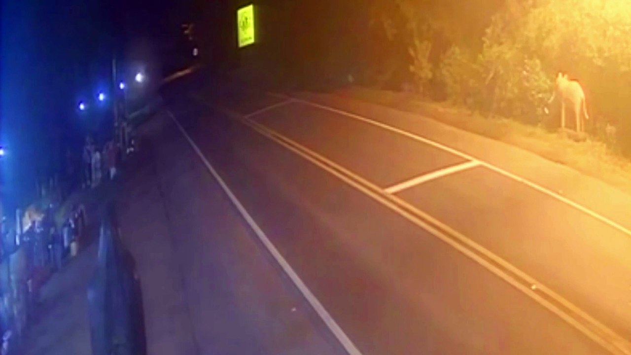 Vídeo mostra acidente entre carro e caminhão que matou três em SC