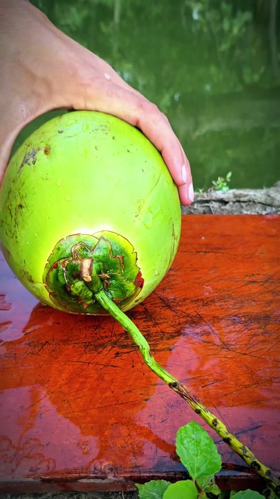 I Cut Fresh Green Coconut See What Happens Next! 🍈🔥