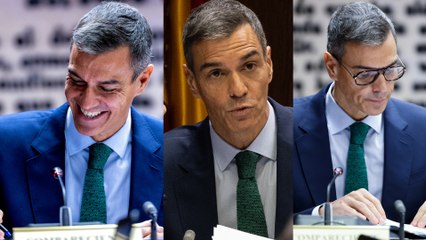 La comparecencia de Sánchez en el Senado, en cinco momentos