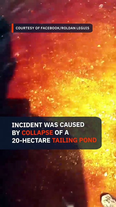 Negros Oriental molasses spill spreads across 3,000 hectares