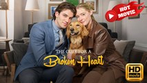 The Cure for a Broken Heart | Full Movie HD - Drama ShortFilms Hot