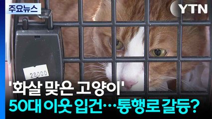 [단독] '화살 맞은 고양이' 50대 이웃 입건...통행로 갈등? / YTN