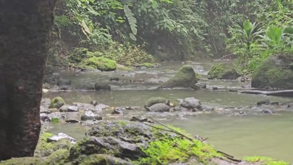 ext-publireportaje-telecable-301025