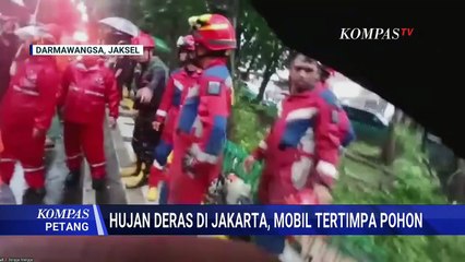 Hujan Deras, Pohon Tumpang Timpa 4 Mobil di Darmawangsa Jaksel | KOMPAS PETANG
