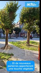 Dinan - place Saint-Sauveur