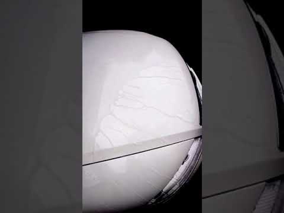 Lackaufbereitung VW Phaeton Campanellaweiß Tutorial Abperlen von Wasser