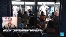 Soudan : plus de 460 personnes tuées dans une maternité à El-Facher