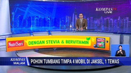 Ringsek! Begini Penampakan Mobil Tertimpa Pohon Tumbang di Dharmawangsa Jaksel | KOMPAS MALAM