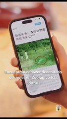 Detective Con Animales Completo