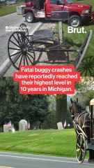 Fatal buggy crashes have reportedly reached their highest level in 10 years in Michigan.