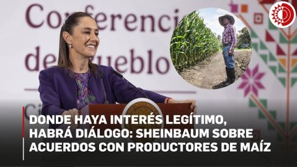 Sheinbaum: avanza diálogo con productores de maíz, donde haya intereses legítimos