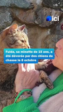 Je me suis mise à hurler , cette Mauriennaise demande justice pour sa chatte Fulda, dévorée par des chiens de chasse