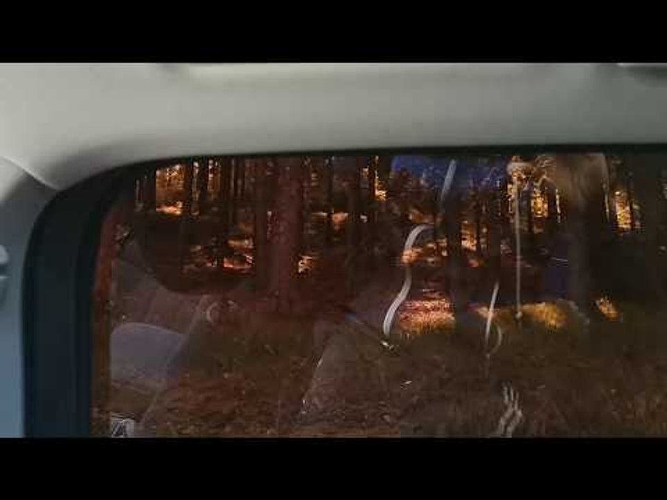 2018 VW Touran Solarplexius Sonnenschutz + Werkstönung Sicht nach außen