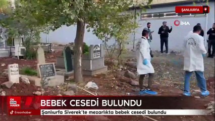 Şanlıurfa Siverek’te mezarlıkta bebek cesedi bulundu