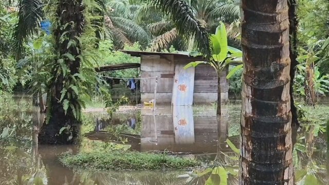 Autoridades llevan ayuda a comunidades afectadas por inundaciones en Veraguas, Chiriquí y Los Santos