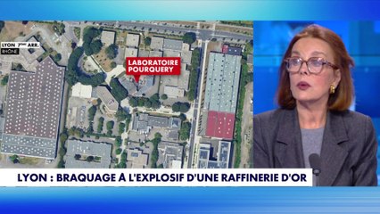 Catherine Nay : «Les cambrioleurs du Louvre ont laissé des indices»