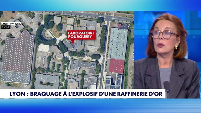 Catherine Nay : «Les cambrioleurs du Louvre ont laissé des indices»