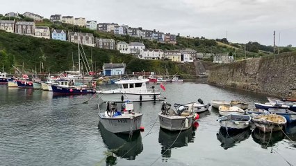 Mevagissey harbour by Andrew Townsend