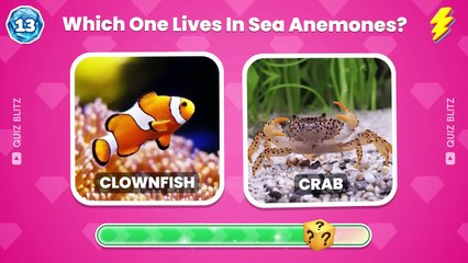🧠 How Good Is Your Knowledge of SEA ANIMALS 🐳🦐✅ General Knowledge Trivia Quiz