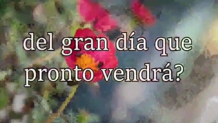 Despedida de santo Sábado de Jehová