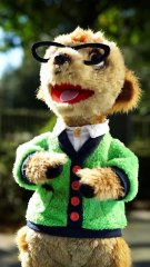 Cutest Puppy Dance Ever! 🐶💃 This Little Pup Will Melt Your Heart ❤️ | Funny & Adorable Short