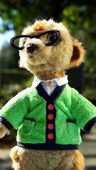 Cutest Puppy Dance Ever! 🐶💃 This Little Pup Will Melt Your Heart ❤️ | Funny & Adorable Short