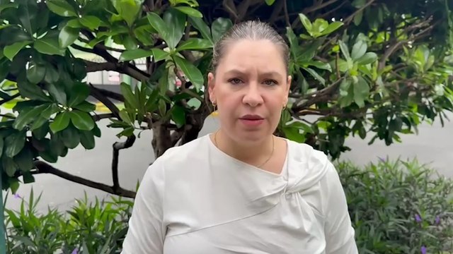 ext-claudia-dobles-candidata-cac-301025