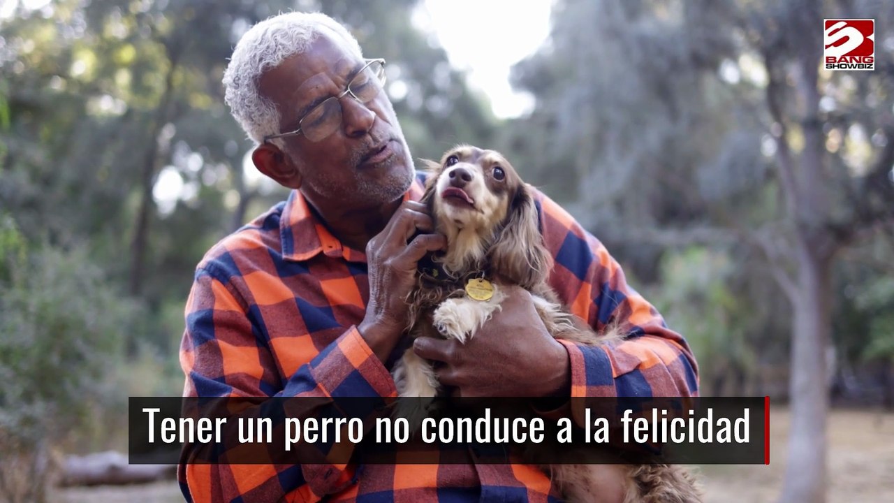 Tener un perro no conduce a la felicidad