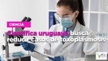 Científica uruguaya busca reducir casos de toxoplasmosis