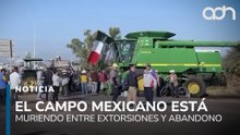 Entre extorsiones y abandono, el campo mexicano está en peligro