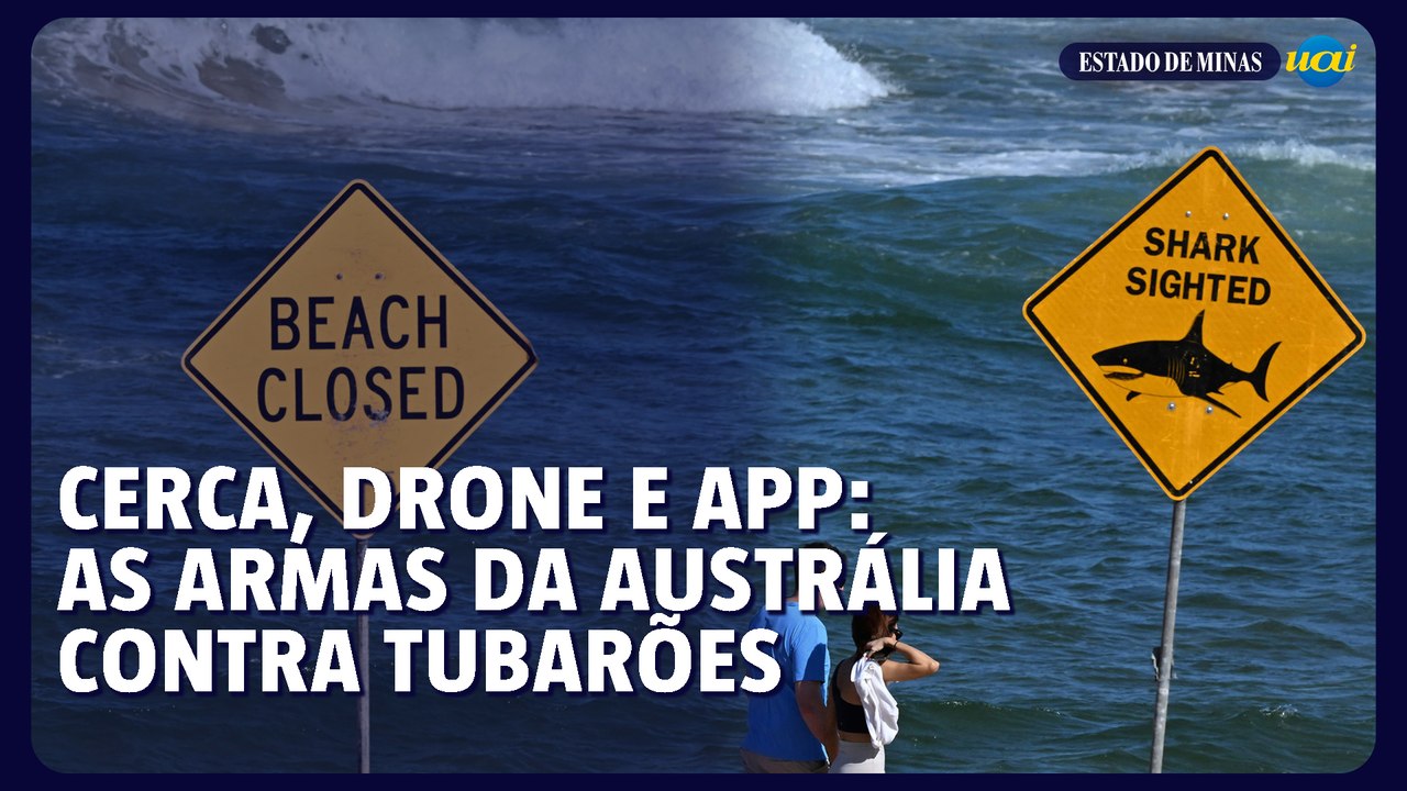 Cerca, drone e app: as armas da Austrália contra tubarões
