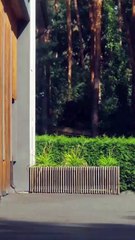 She Came Out Of A Coma After 7 Years Engsub Mydrama