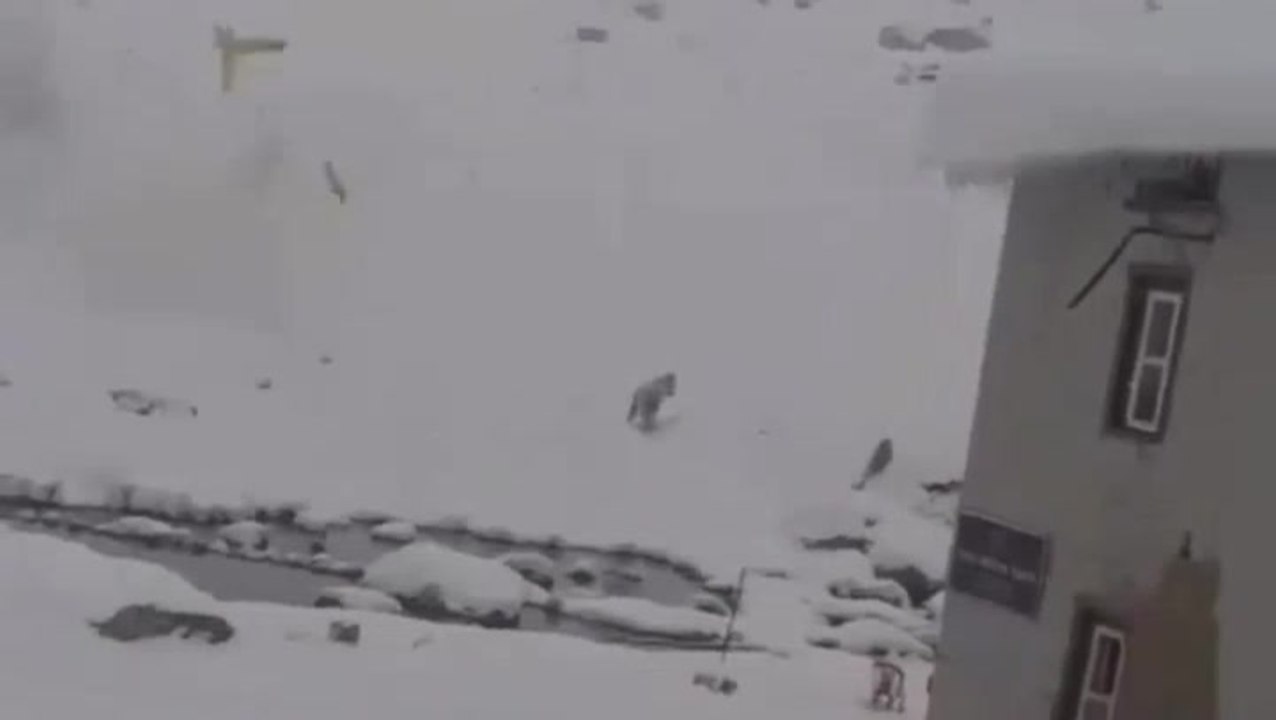 Helicopter crashes near Everest base camp during rescue attempt