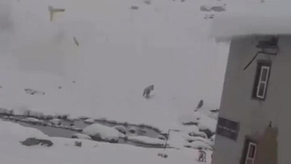 Helicopter crashes near Everest base camp during rescue attempt