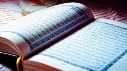 Dr. Zakir Naik’s Powerful Answer Non-Muslim Woman Accepts Islam After Hearing the Truth Cleanliness In Urdu Translation Zakir Naik Dawah Center #pleaselike #pleasesharevideo #pleasecomment