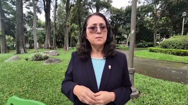 ext-luz-mary-alpizar-candidata-ppsd-301025