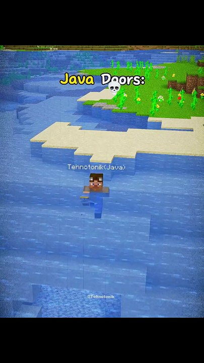Minecraft Java or Bugrock Doors Moment
